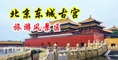 大肥白穴中国北京-东城古宫旅游风景区